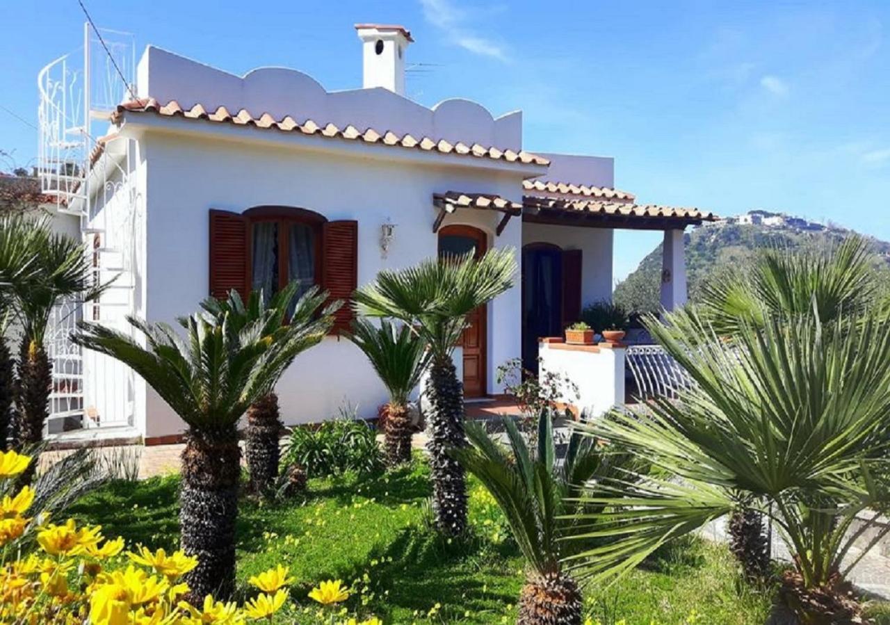 Holiday Apartments Lacco Ameno  Kamer foto